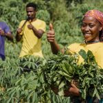 Growing More Than Crops – Jatfarid’s Vision for Agricultural Transformation
