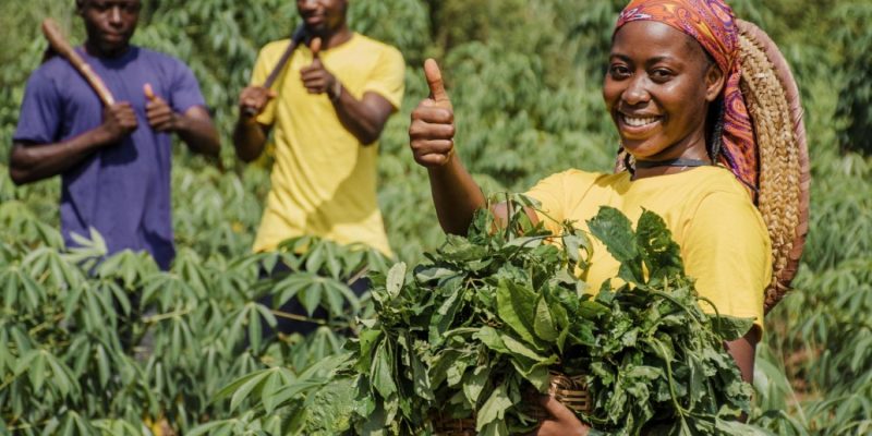 Agric 2